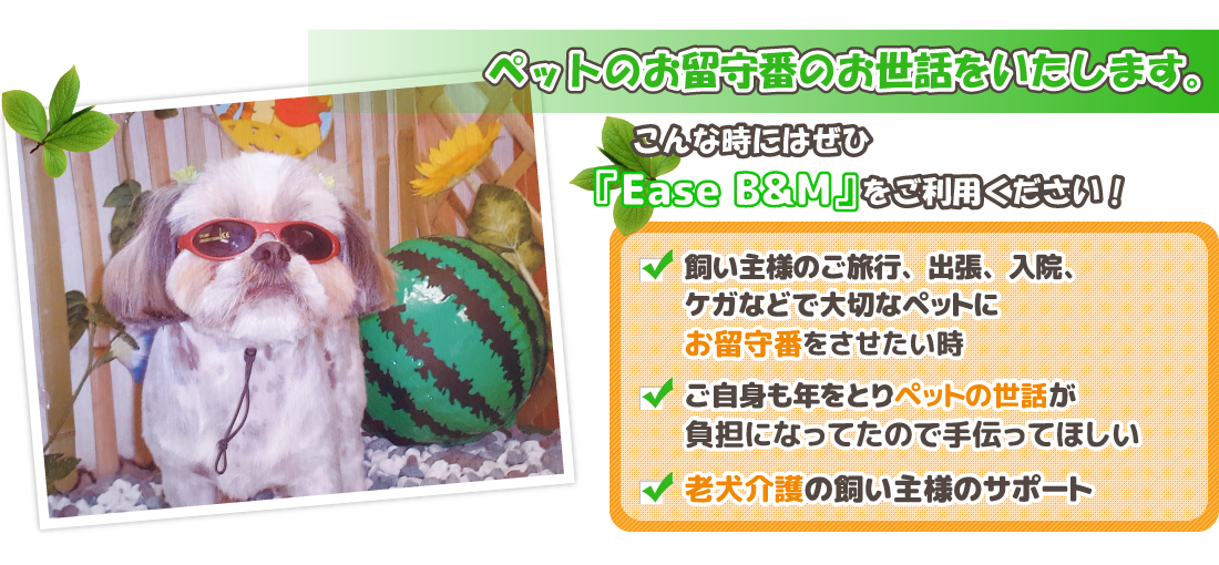 岐阜市のペットシッター Ease B&M（イース・ビーアンドエム）