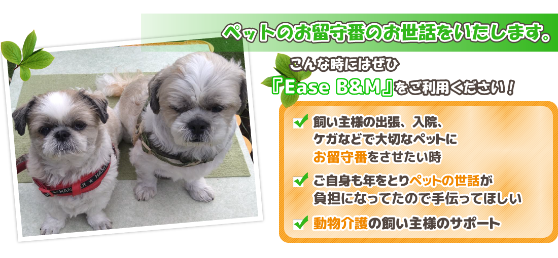 岐阜市のペットシッター Ease B&M（イース・ビーアンドエム）